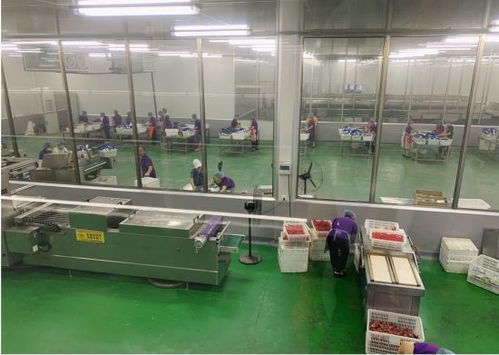 南川模式 以点带面，汇聚民企力量，打造农产品脱贫新路径