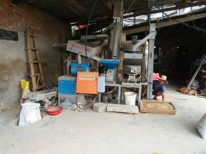 农产品加工厂 现代农业价值链的核心枢纽