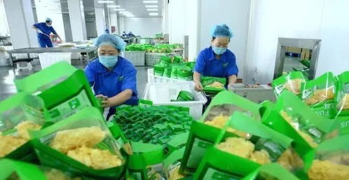 从近2亿吨损失到‘一县一链’ 中国农业全产业链的破局之路