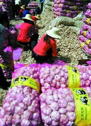 国家发改委强化价格监管新举措 设立专门机构，筑牢农产品保供稳价防线